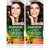 Garnier Nat 5.1 Deep Ashy Light Brown